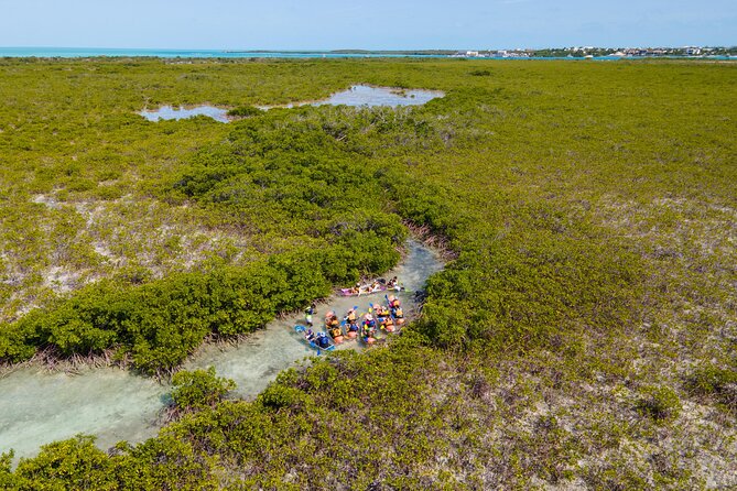 2 Hours Clear Kayaking Activity on Mangrove Cay - Key points at a glance
