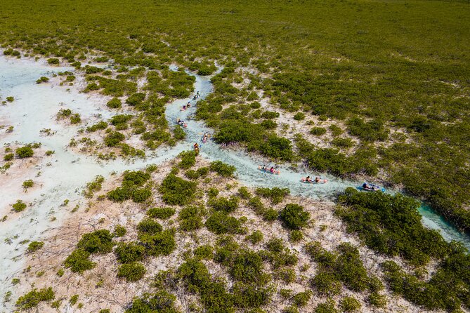 2 Hours Clear Kayaking Activity on Mangrove Cay - Why Mangrove Cay clear kayaking feels special here