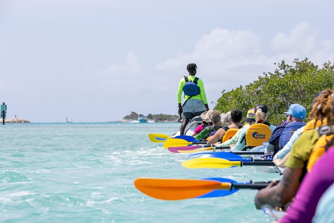 2 Hours Clear Kayaking Activity on Mangrove Cay - Wildlife you might see, and how to increase your odds