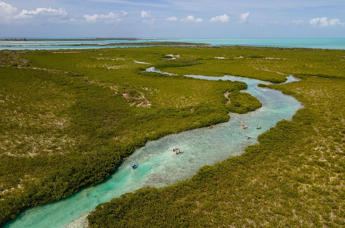 2 Hours Clear Kayaking Activity on Mangrove Cay - Kayak comfort and safety: plan for spray if conditions get rough