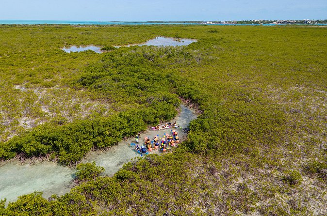 2 Hours Clear Kayaking Activity on Mangrove Cay - Price and value: is $125 a good deal for 2 hours?