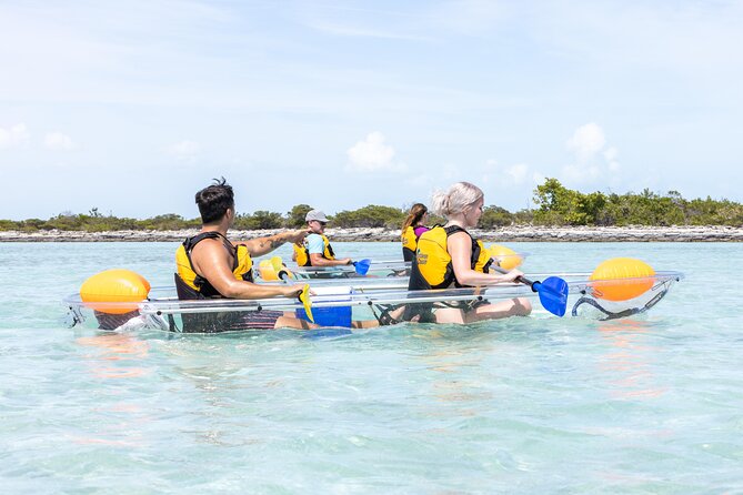 2 Hours Clear Kayaking Activity on Mangrove Cay - Guides on Mangrove Cay: how the stories improve what you see