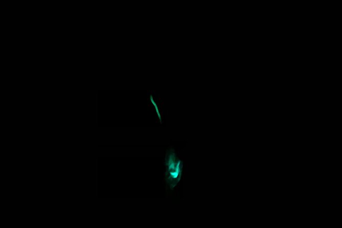 3 hour Glow Worm Sunset Cruise from Providenciales - What you are actually seeing: eggs, pulses, and the spawning behavior