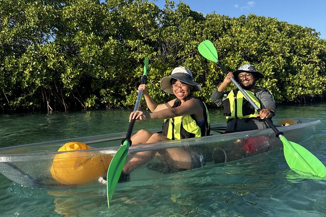 3hr Clear Kayak Tour of Mangroves, Marine Life and Iguanas - Wildlife Spotting: How to See More Without Chasing