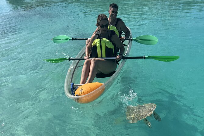3hr Clear Kayak Tour of Mangroves, Marine Life and Iguanas - Price and Value: Is $134.40 Worth It?