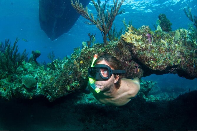 3HR Emerald reef snorkeling, iguana island and shipwreck tour - Key points before you go