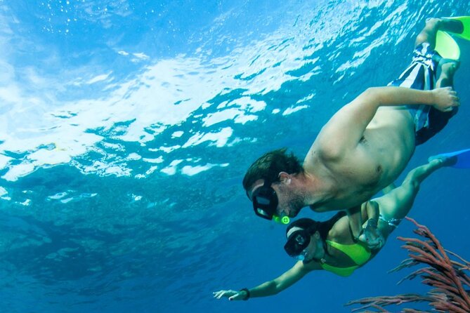3HR Emerald reef snorkeling, iguana island and shipwreck tour - La Famille Express shipwreck: a shallow wonder with limits