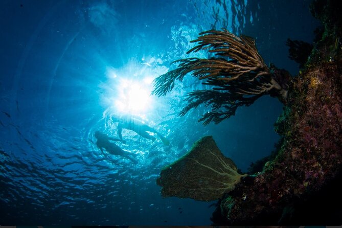 3HR Emerald reef snorkeling, iguana island and shipwreck tour - Onboard snacks, drinks, and the little extras that matter