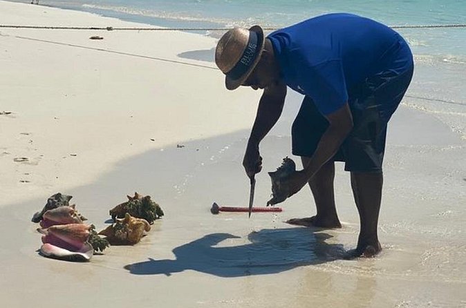 3hr Seaside Scavenger hunt - Queen conch and snorkeling gear: what you do in the water