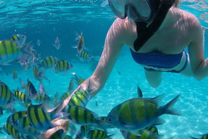 4-Hour Catamaran Sail and Snorkel Tour from Grace Bay - Half Moon Bay Nature Time: Easy Walks and Iguanas by the Waterline