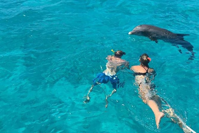 4 Hour Private Catamaran Sail and Snorkel from Grace Bay Beach, Providenciales - Anchor at the captain’s favorite spot: reef snorkeling without rushing