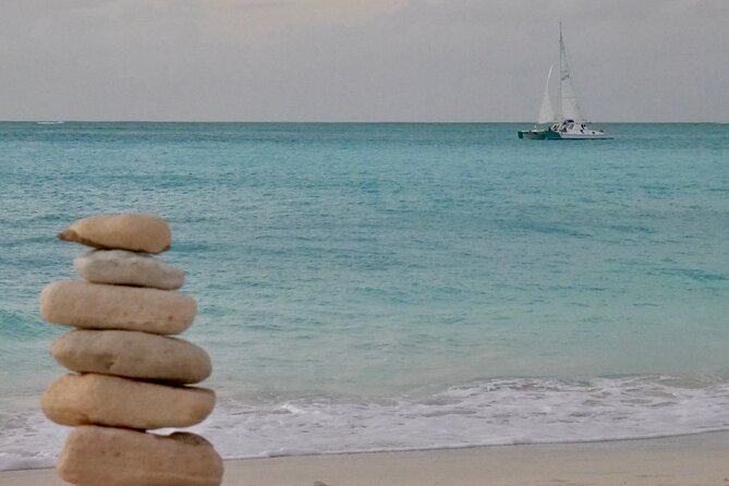 4 Hour Private Catamaran Sail and Snorkel from Grace Bay Beach, Providenciales - Stop 2, Half Moon Bay: a sandbar nature walk with rock iguanas