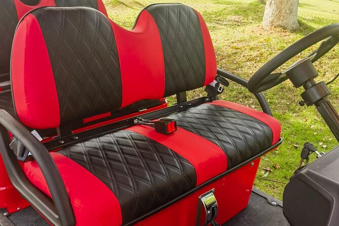 4 Seater Luxury Golf Carts Rental in Grand Turk - Pickup and check-in outside the port gates, and how to not waste time