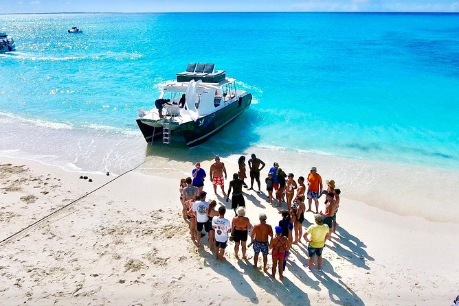 4hour Group Half Day Snorkeling Excursion in Grace Bay - Who this half-day tour is best for, and who should think twice