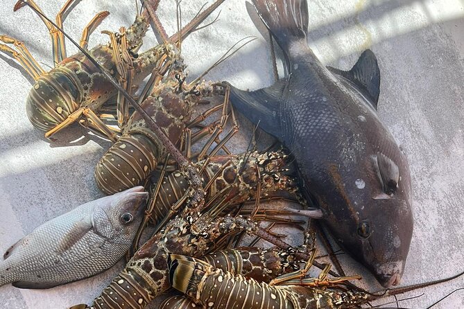 4HR-Halfday Private Fishing Tour in Gracebay - Stop 1 on the Caicos Bank: what you can realistically catch