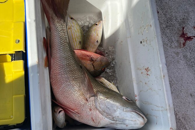 4HR-Halfday Private Fishing Tour in Gracebay - Reliability and safety: the real-world risk on any boat day