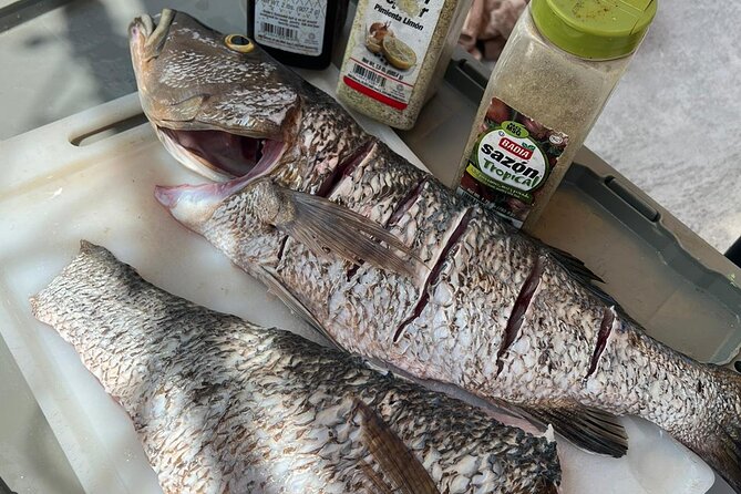 4HR-Halfday Private Fishing Tour in Gracebay - Who should book this private fishing charter in Grace Bay?
