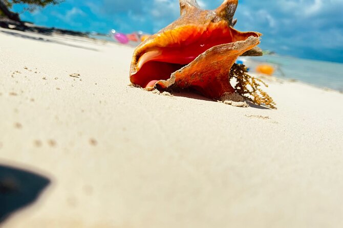 4HR Private Half-day Boat in Gracebay - Why a Grace Bay private boat charter is such a smart antidote to crowds