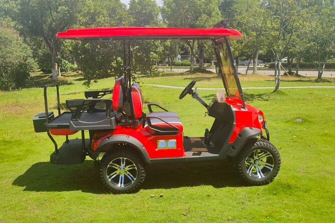 4Seater UTV Golf Cart in Grand Turk - What to Check Before You Drive Away