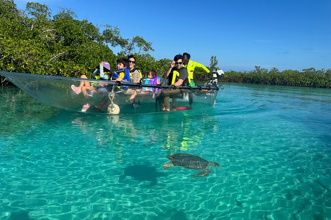 6-Passenger Motorized Clear Kayak Mangrove Tour in Providenciales - Quick hits