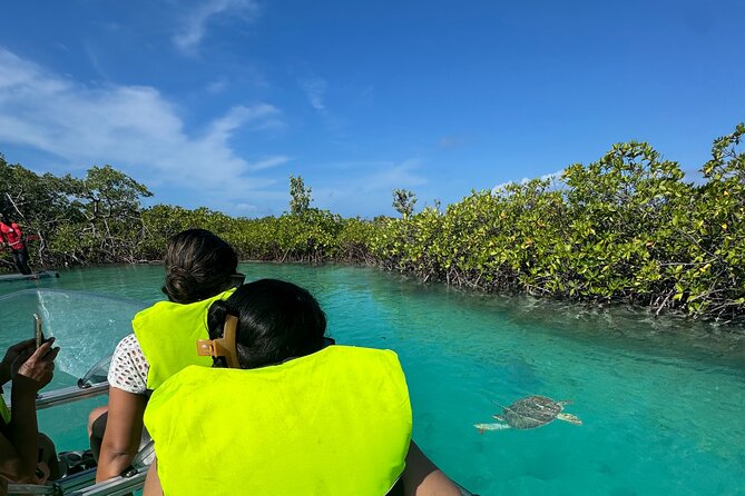 6-Passenger Motorized Clear Kayak Mangrove Tour in Providenciales - Motorized Clear Kayak vs. a Normal Kayak in Providenciales