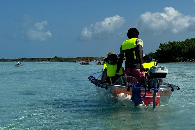 6-Passenger Motorized Clear Kayak Mangrove Tour in Providenciales - Mangrove Cay Stop: Cruising Channels and Spotting Sea Life