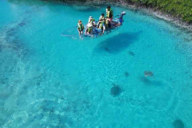 6-Passenger Motorized Clear Kayak Mangrove Tour in Providenciales - What Makes This Tour Work for Families, Couples, and Small Groups