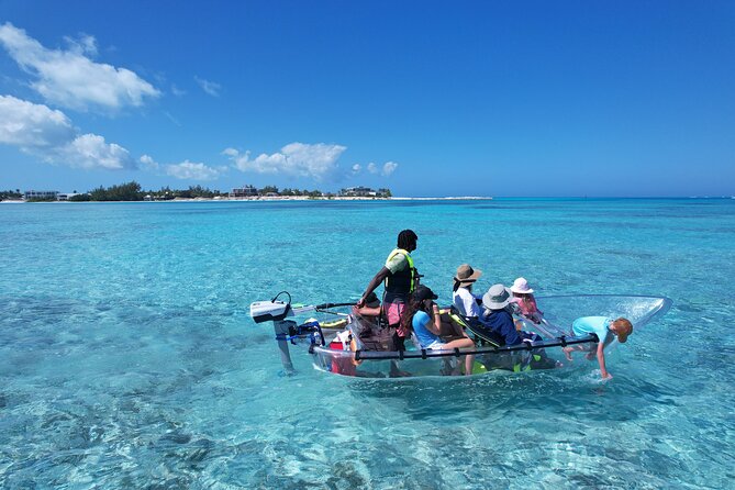 6-Passenger Motorized Clear Kayak Mangrove Tour in Providenciales - What to Bring for a Comfortable 2-Hour Outing