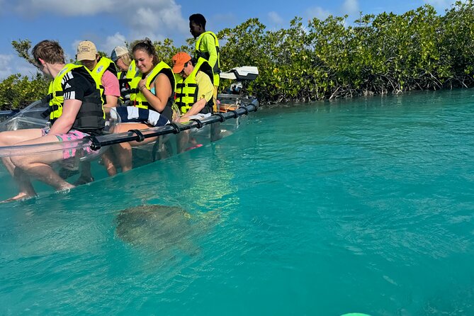 6-Passenger Motorized Clear Kayak Mangrove Tour in Providenciales - Price and Value for a 6-Person Private Group