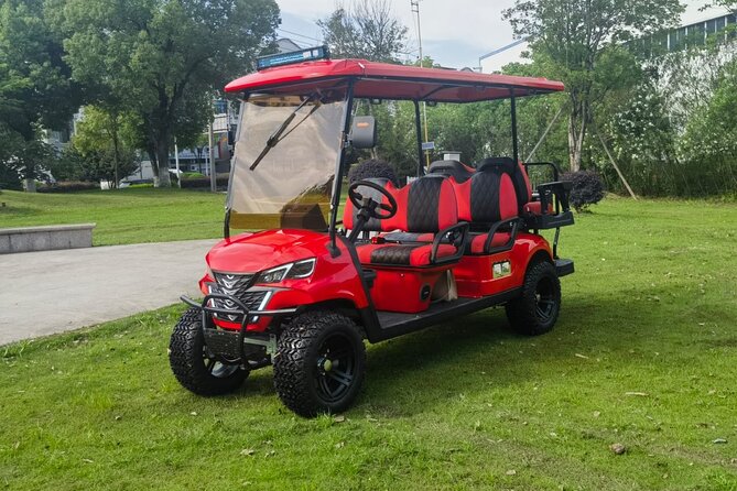 6 Seater Luxury Golf Carts Rental in Grand Turk - Key things I’d spotlight before you book