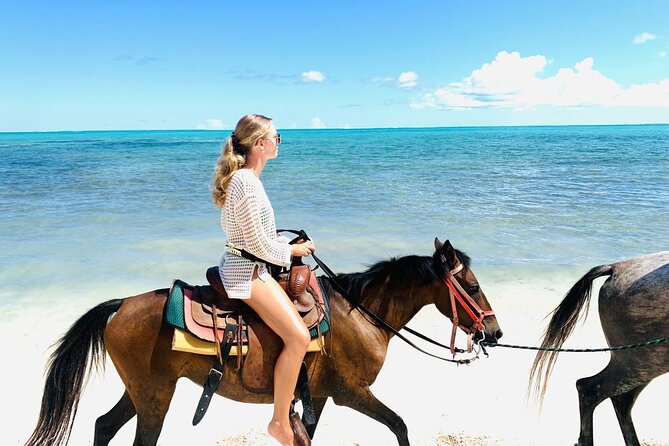 60-Minute Private Horseback Riding Experience in Turks and Caicos - Why This 60-Minute Private Ride Feels Like More Than Just a Tour