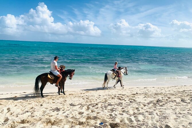 60-Minute Private Horseback Riding Experience in Turks and Caicos - Who This Ride Fits Best