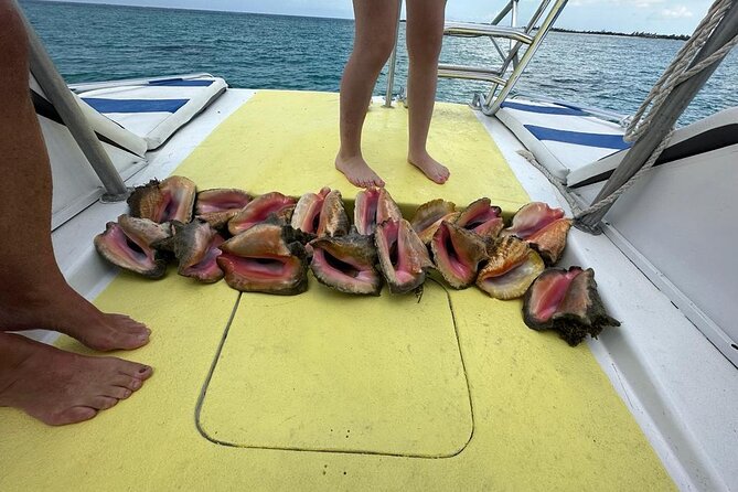 6HR-Provo Cays exploration with Lunch in Gracebay - Reef snorkeling stops, and why the gear being included helps