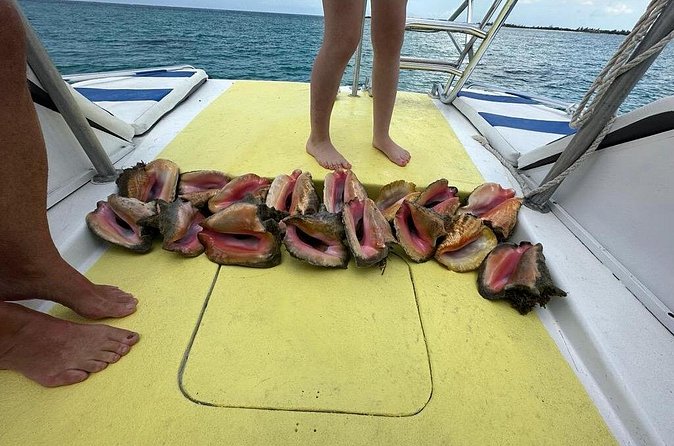 6HR-Provo Cays exploration with Lunch in Gracebay - Conch hunting, iguanas, and the little moments that make it feel real