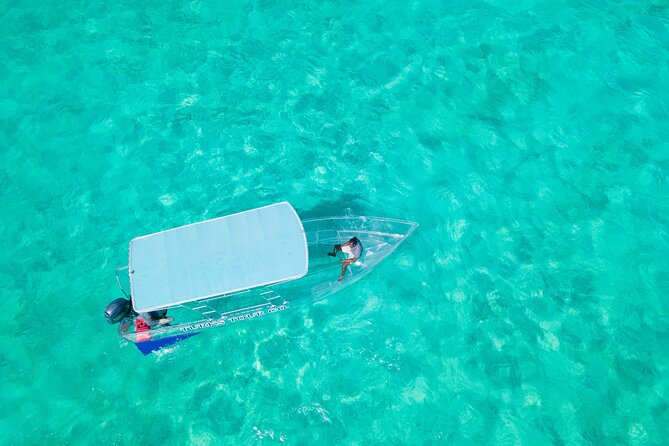 75 Minutes Clear Boat Tour in Caicos Island - Marine life you can realistically expect, from turtles to stingrays