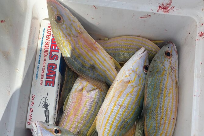 8HR Catch and Grill in Turks and Caicos Islands - How the 8-Hour Catch and Grill Runs From Providenciales
