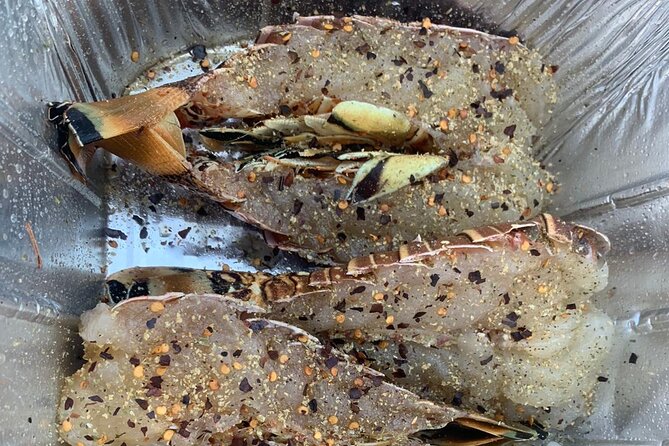 8HR Catch and Grill in Turks and Caicos Islands - Should You Book the 8-Hour Catch and Grill?