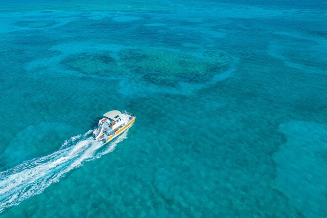 Afternoon Half Day Cruise from Providenciales with Snorkeling and Iguana Island - Key things to know before you go