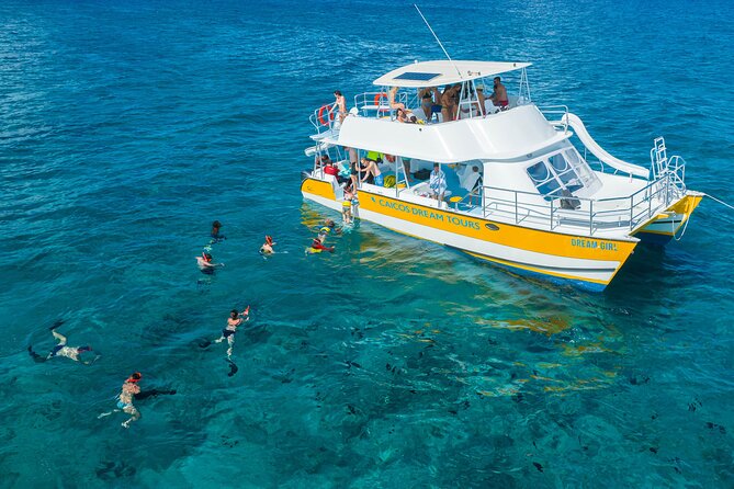 Afternoon Half Day Cruise from Providenciales with Snorkeling and Iguana Island - Cruising Grace Bay Beach and Getting Back Without Stress