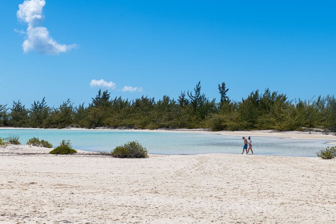 Afternoon Half Day Cruise from Providenciales with Snorkeling and Iguana Island - Who This Cruise Is Best For (and Who Should Think Twice)