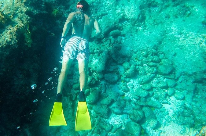 All Day Adventure with a Beach BBQ Feast from Providenciales - Price and Value: What $225 Gets You in Real Terms