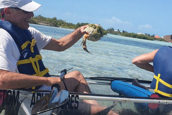 Clear Bottom Kayaks Mangrove Tour - The guide matters: clear instructions, local facts, and keeping everyone included