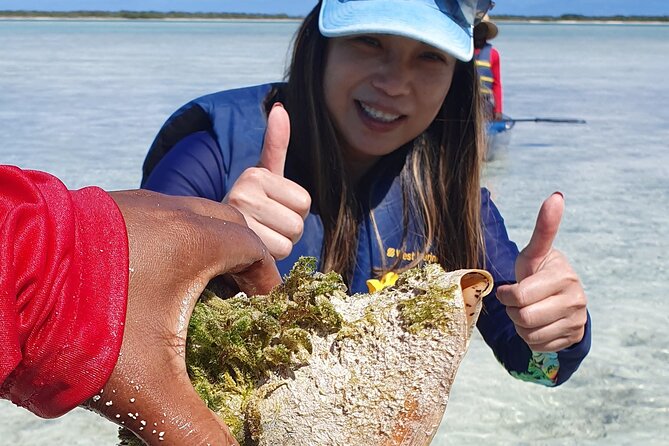 Clear Bottom Kayaks Mangrove Tour - Who this mangrove kayak tour is best for (and who should think twice)