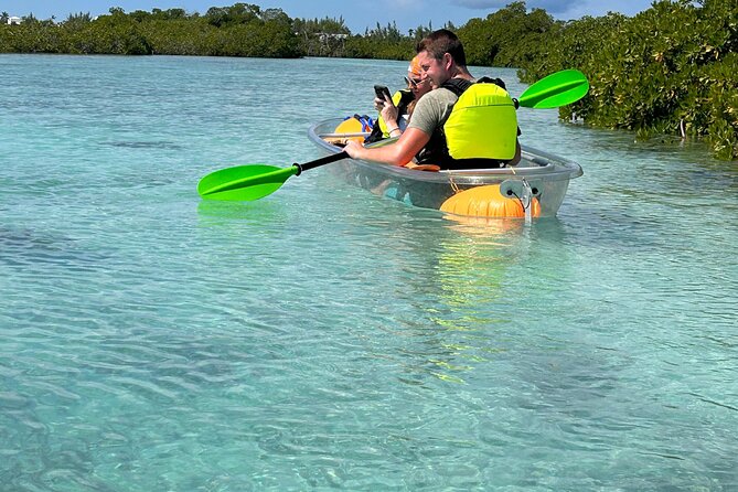 Clear Kayak Eco Tour Explore Mangroves and Meet the Turtles - The guide experience, and why guide skill changes everything