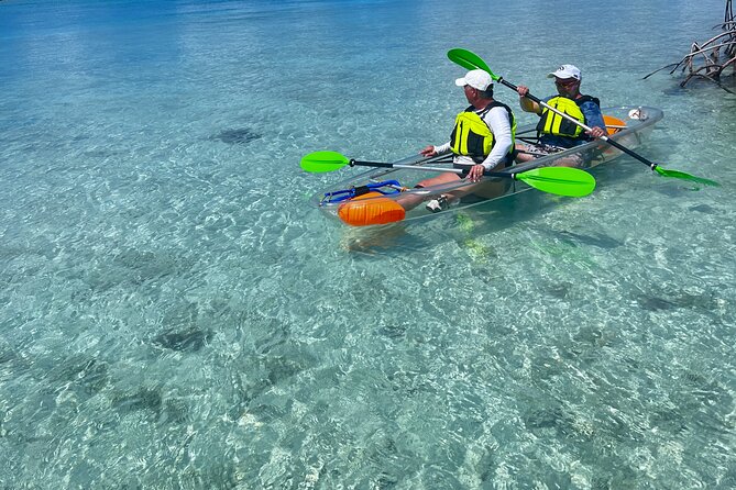 Clear Kayak Eco Tour Explore Mangroves and Meet the Turtles - What about safety and equipment? Handle it like a smart customer