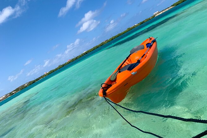 Clear kayak Grand Turk Island Kayak Tour of the mangroves - Why a clear kayak through North Creek mangroves feels different