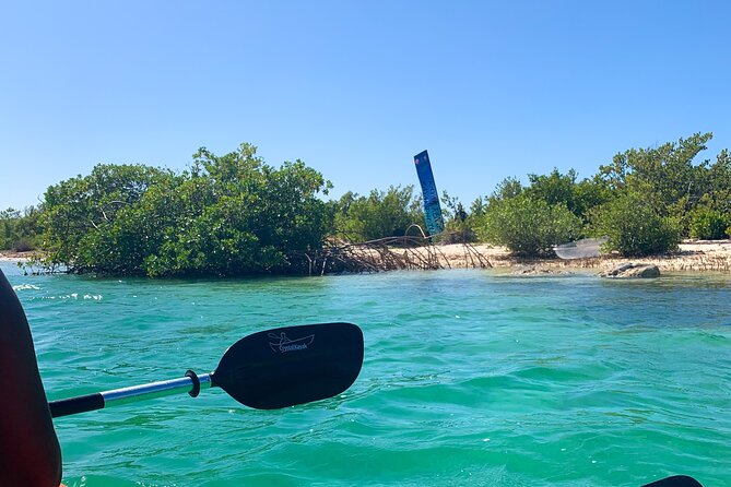 Clear kayak Grand Turk Island Kayak Tour of the mangroves - How the 1 to 2 hour route stays relaxing