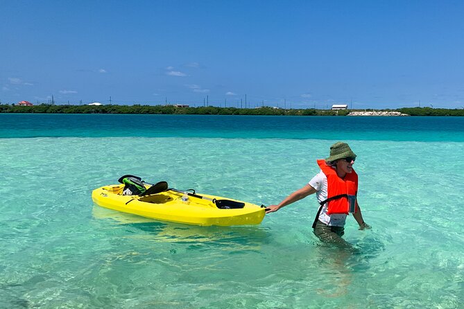 Clear kayak Grand Turk Island Kayak Tour of the mangroves - Wildlife you can actually see from water level