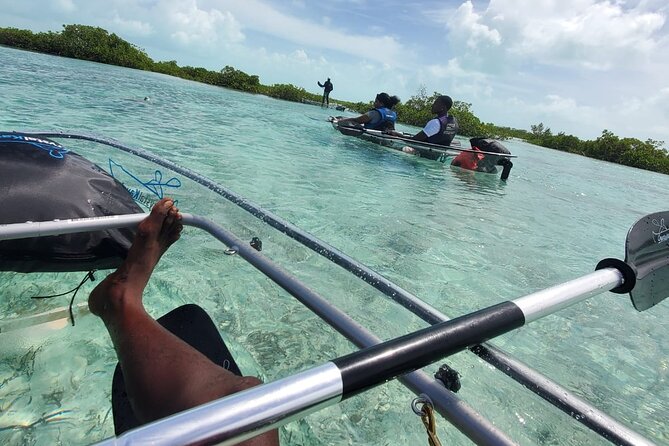 Clear Kayak Mangrove Eco Tour - Clear Kayaks Over Providenciales Mangroves, The Main Idea