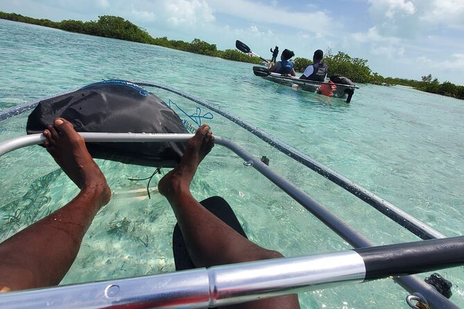 Clear Kayak Mangrove Eco Tour - Pickup, Timing, and the Mobile Ticket You’ll Use